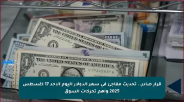 قرار صادر.. تحديث مفاجئ في سعر الدولار اليوم الأحد 17 أغسطس 2025 وأهم تحركات السوق
